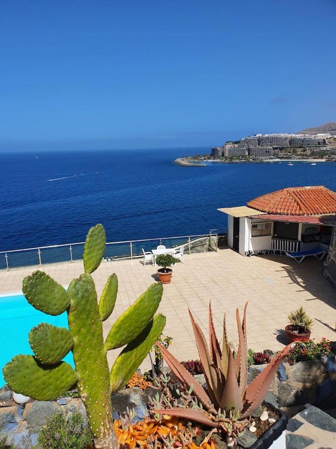 Very Romantic Seaview Apartment Patalavaca Mogan With Warm Pool Eksteriør billede